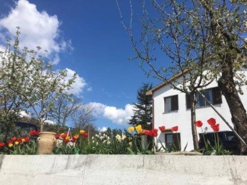 Hostel-Sezanalokev B&B Екстериор снимка